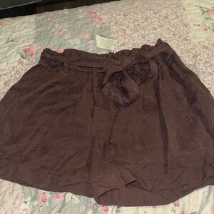 Aerie Women's Brown Shorts